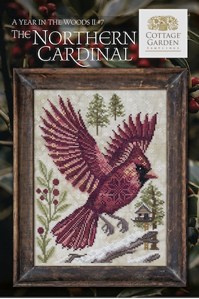 A Year In The Woods II - The Northern Cardinal